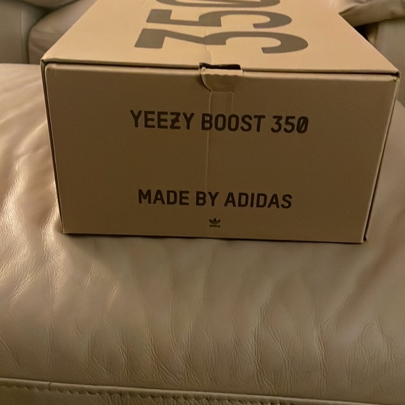 Yeezy Earth - Picture 14 of 16